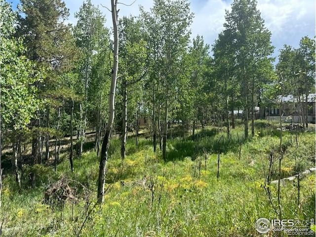 0 Aspen Cir, Black Hawk, CO 80422