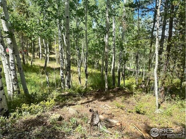 0 Aspen Cir, Black Hawk, CO 80422