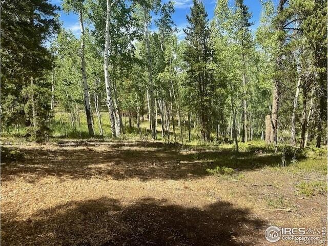 0 Aspen Cir, Black Hawk, CO 80422