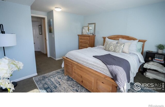1504 Washington Ave, Louisville, CO 80027 - carpeted bedroom featuring baseboards