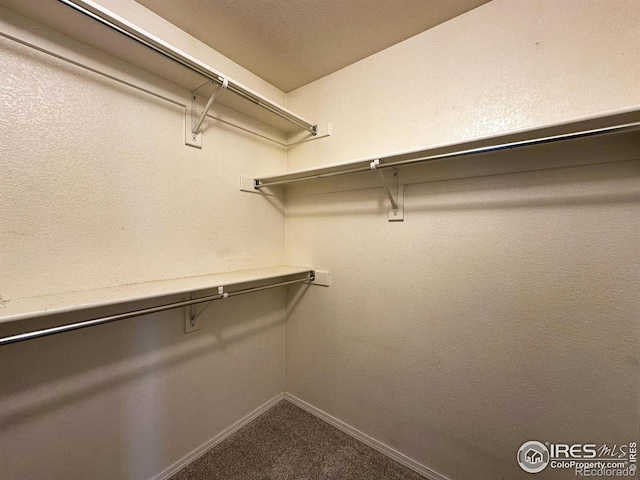 6502 Carmichael St, Fort Collins, CO 80528 - spacious closet featuring dark carpet
