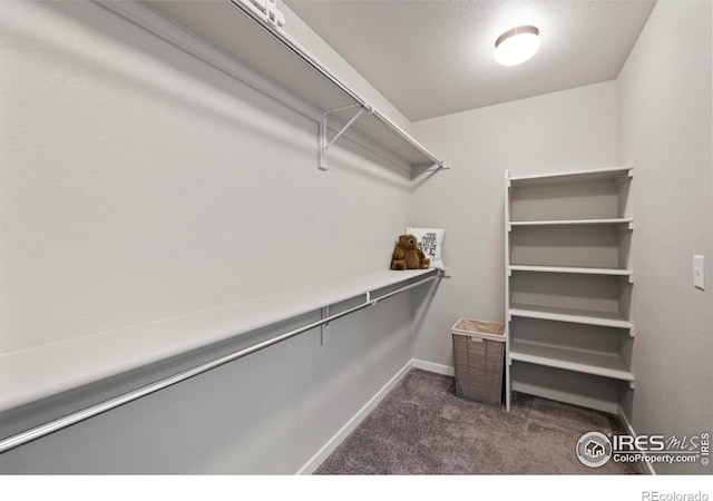 2838 Sykes Dr, Fort Collins, CO 80524 - walk in closet with dark carpet