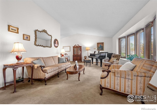 2417 15th Ave, Longmont, CO 80503 - living area with vaulted ceiling and carpet
