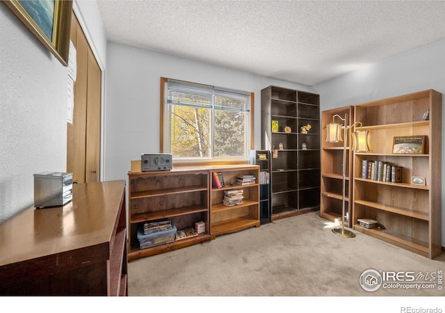 2417 15th Ave, Longmont, CO 80503 - interior space with carpet flooring and a textured ceiling