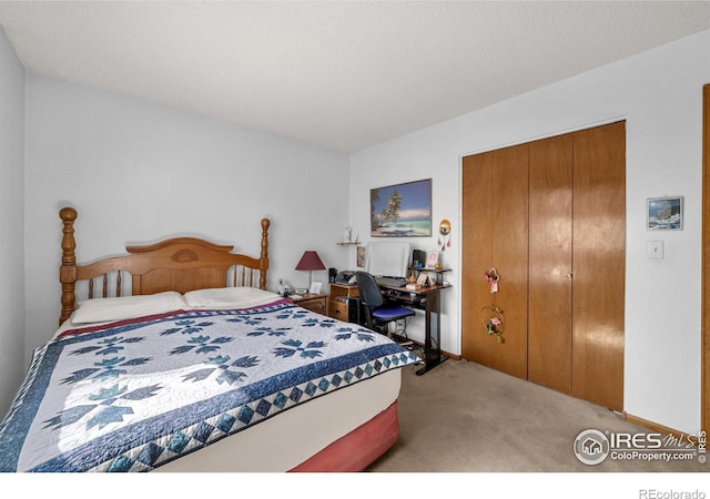 2417 15th Ave, Longmont, CO 80503 - bedroom with a closet, baseboards, and light carpet