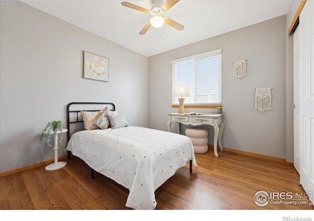 1114 Berwick Ct, Fort Collins, CO 80524 - bedroom with wood finished floors, a closet, baseboards, and a ceiling fan