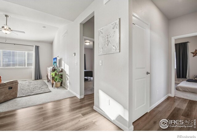 1485 S Lotus Dr, Milliken, CO 80543 - photo 12