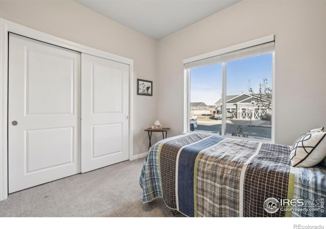 1485 S Lotus Dr, Milliken, CO 80543 - photo 18