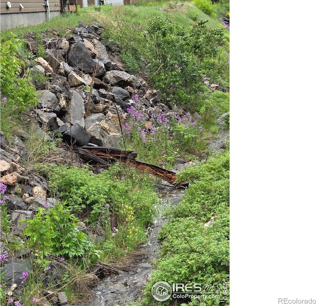 223 Kings Canyon Rd, Bellvue, CO 80512 - exterior view