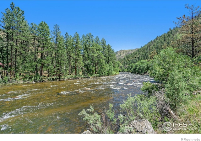 223 Kings Canyon Rd, Bellvue, CO 80512 - water view featuring a forest