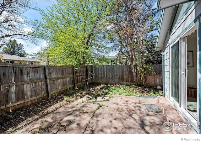 view of yard with a patio area and a fenced backyard