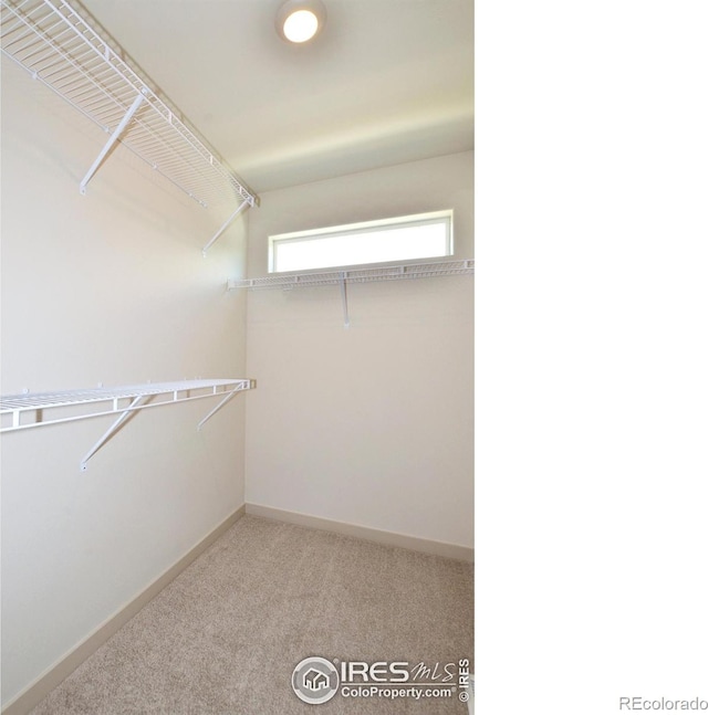 1039 Spartan Ave, Berthoud, CO 80513 - walk in closet with carpet flooring