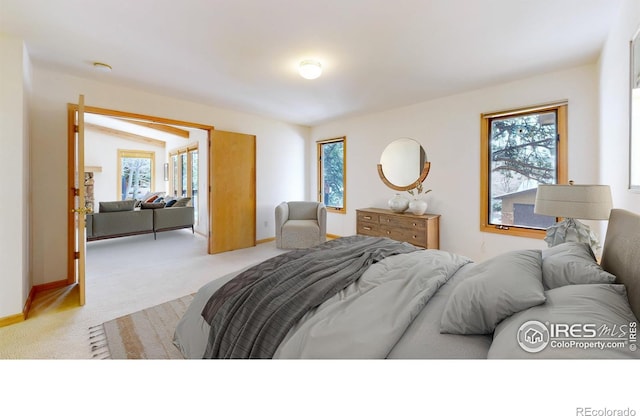 1162 Fairway Club Ln Unit 1, Estes Park, CO 80517 - bedroom with baseboards, light colored carpet, and multiple windows