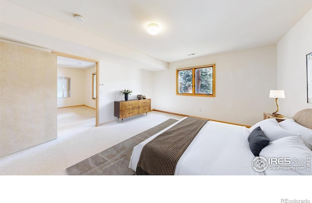 1162 Fairway Club Ln Unit 1, Estes Park, CO 80517 - carpeted bedroom with baseboards