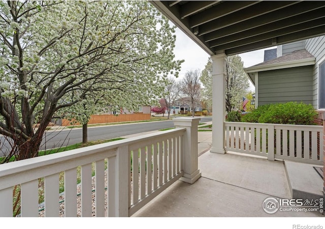 6309 Carmichael St, Fort Collins, CO 80528 - photo 3