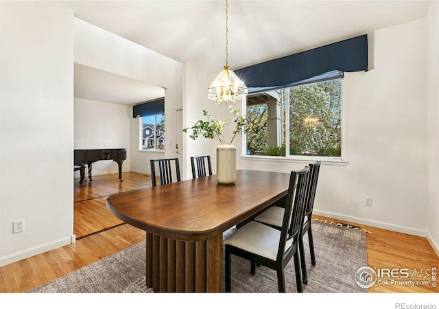 6309 Carmichael St, Fort Collins, CO 80528 - photo 5