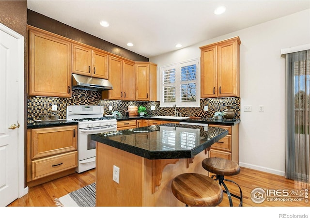 6309 Carmichael St, Fort Collins, CO 80528 - photo 14
