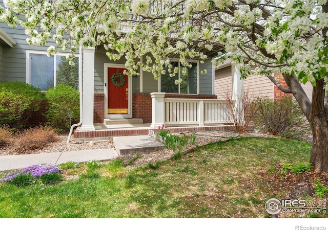 6309 Carmichael St, Fort Collins, CO 80528 - photo 33