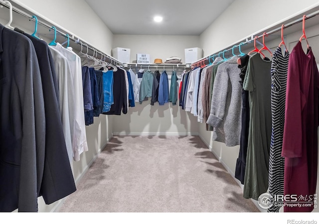 spacious closet featuring carpet floors