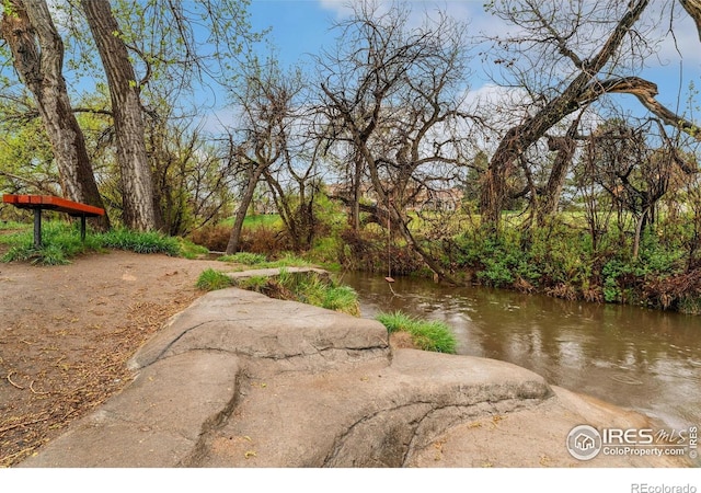 7102 S Harrison Ct, Centennial, CO 80122 - photo 37