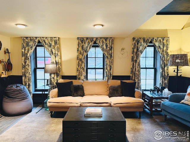 501 Main St, Boulder, CO 80302 - living room with healthy amount of natural light