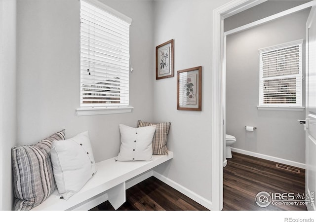 mudroom with baseboards, wood finished floors, visible vents, and a wealth of natural light