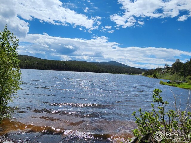 53 Ada Ct, Red Feather Lakes, CO 80545