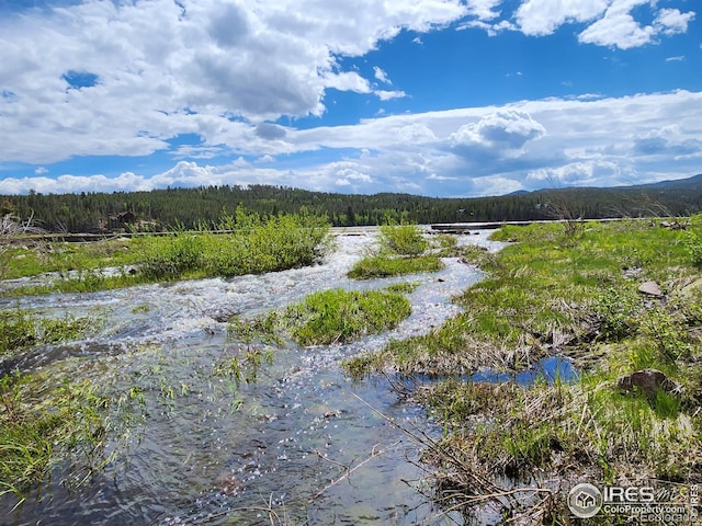 53 Ada Ct, Red Feather Lakes, CO 80545