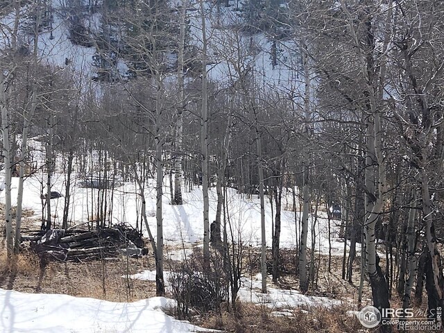 53 Ada Ct, Red Feather Lakes, CO 80545