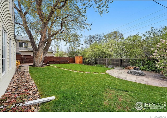 view of yard with a fenced backyard and a patio area