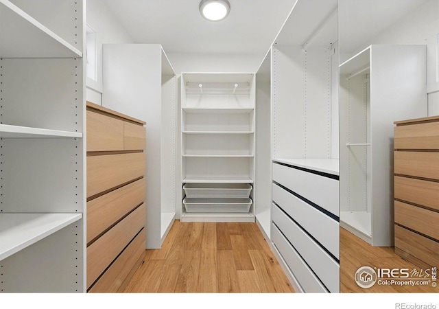 spacious closet featuring light wood-style flooring