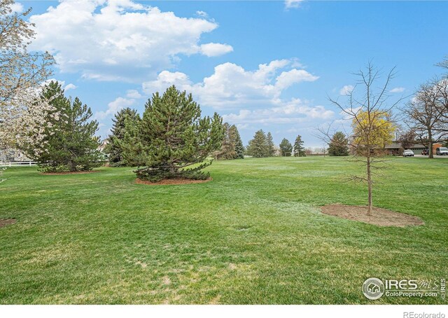 2112 Arron Dr, Loveland, CO 80537 - photo 26