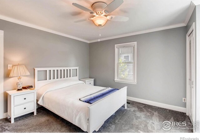 212 Whedbee St, Fort Collins, CO 80524 - photo 9