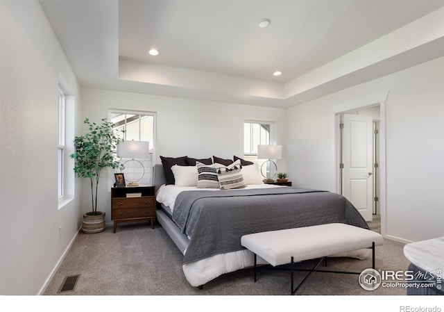 193 Liberty St, Erie, CO 80516 - photo 9