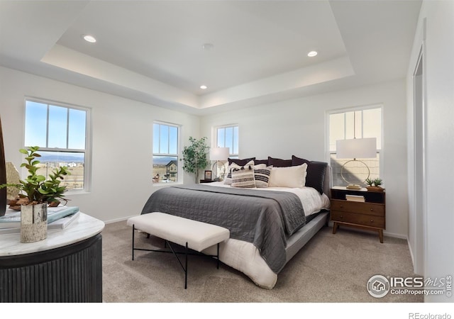 193 Liberty St, Erie, CO 80516 - photo 10