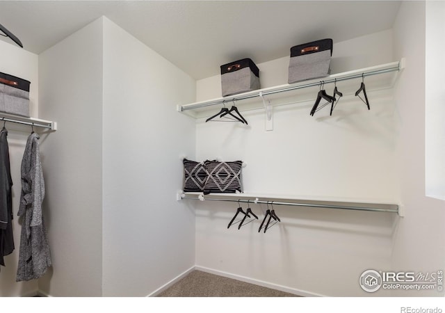193 Liberty St, Erie, CO 80516 - photo 14