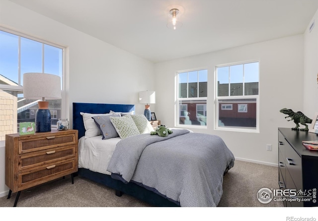 193 Liberty St, Erie, CO 80516 - photo 15