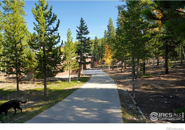 10649 Christopher Dr, Conifer, CO 80433 - view of surrounding community