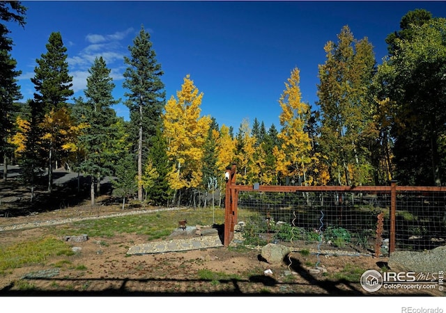 10649 Christopher Dr, Conifer, CO 80433 - view of yard