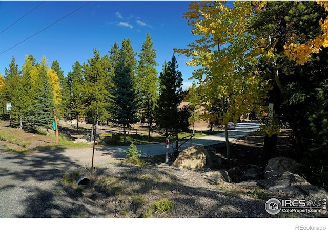 10649 Christopher Dr, Conifer, CO 80433 - view of property's community