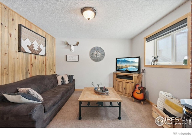 10649 Christopher Dr, Conifer, CO 80433 - carpeted living room featuring wooden walls, a textured ceiling, and baseboards
