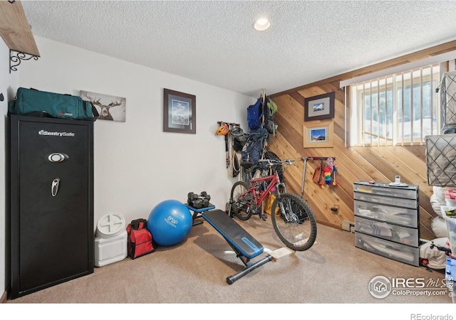 10649 Christopher Dr, Conifer, CO 80433 - exercise area featuring carpet, a textured ceiling, and wood walls