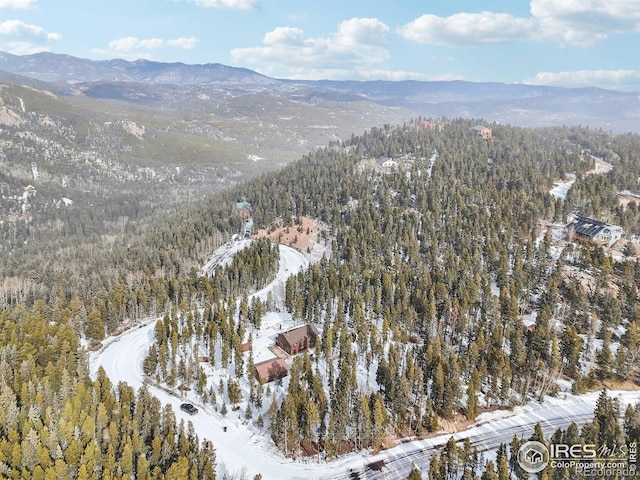 10649 Christopher Dr, Conifer, CO 80433 - snowy aerial view featuring a forest view and a mountain view