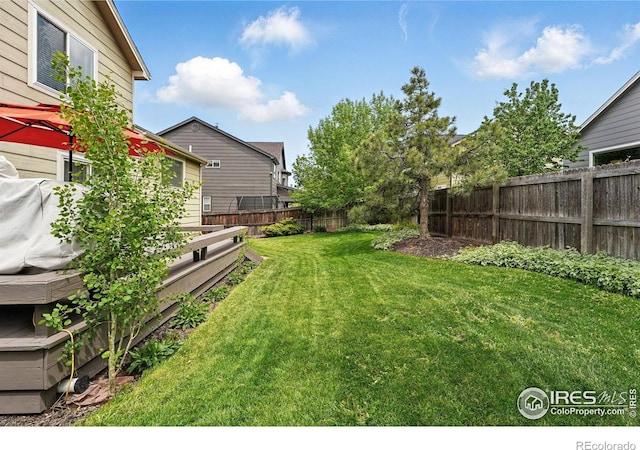 4774 Coker Ave, Castle Rock, CO 80104 - view of yard