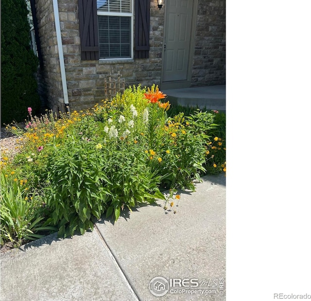 11676 Montgomery Cir, Longmont, CO 80504 - exterior view of stone siding