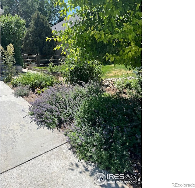 11676 Montgomery Cir, Longmont, CO 80504 - view of yard