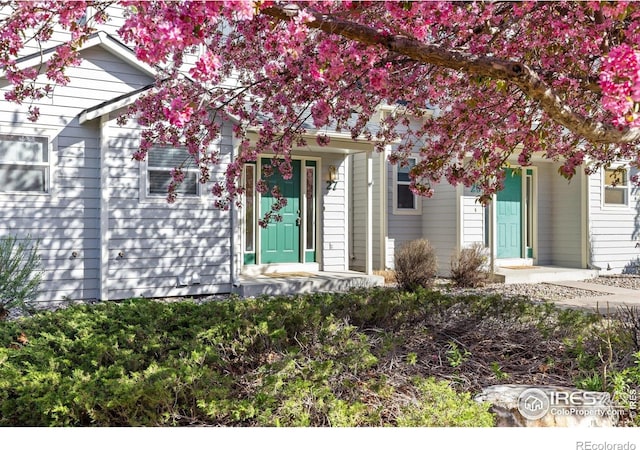 2930 W Stuart St Unit 27, Fort Collins, CO 80526 - view of exterior entry