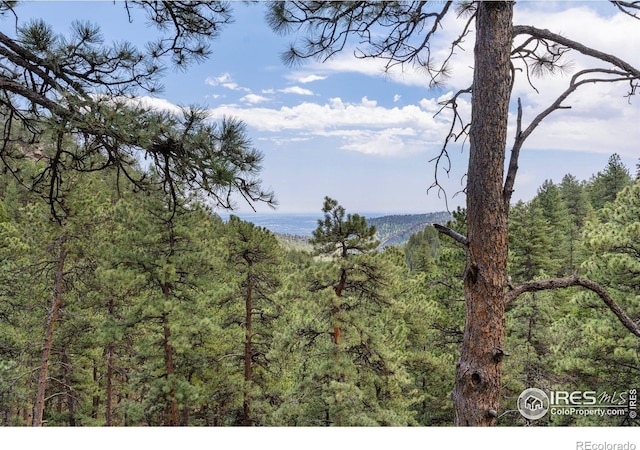 524 Cutter Ln, Boulder, CO 80302 - photo 37