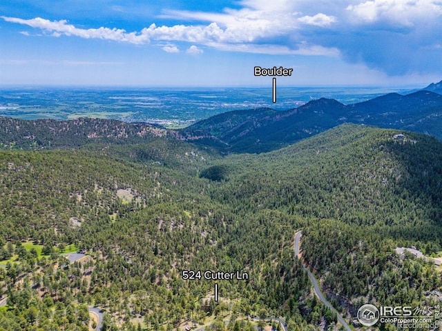 524 Cutter Ln, Boulder, CO 80302 - photo 39
