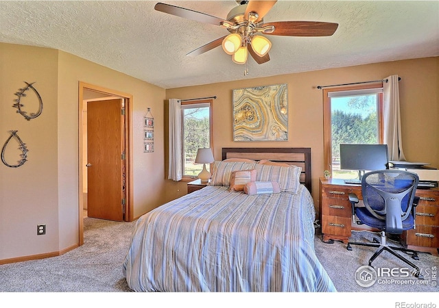 5532 Pawnee Ln, Greeley, CO 80634 - photo 25